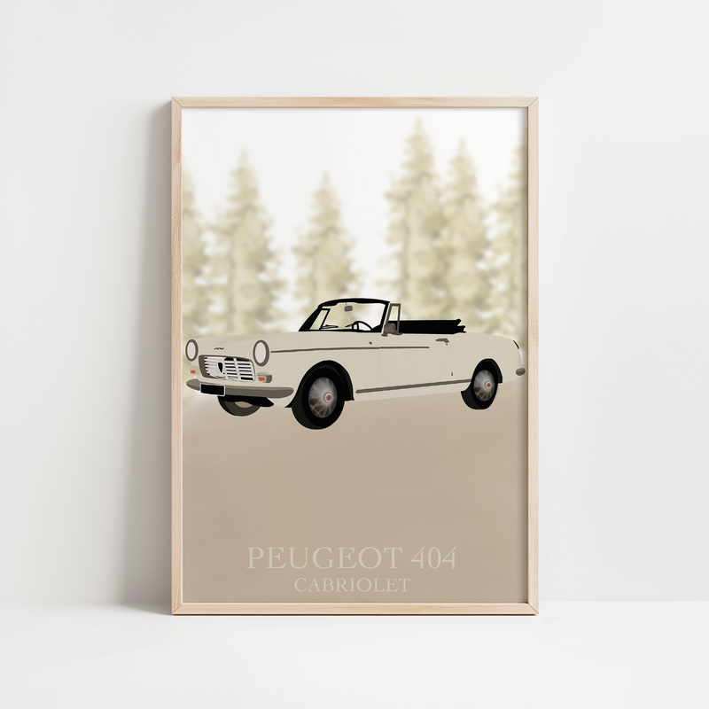 PEUGEOT 404 PAYSAGE