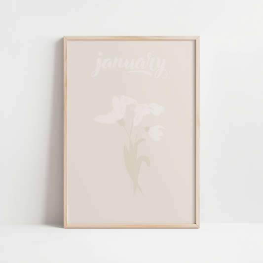 FLEURS DE NAISSANCES - JANVIER