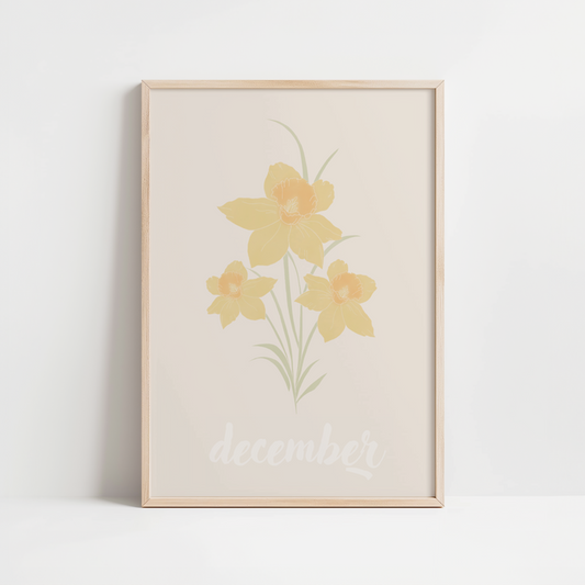 FLEURS DE NAISSANCES - DECEMBRE