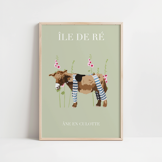 ROAD TRIP - ANE EN CULOTTE ILE DE RE