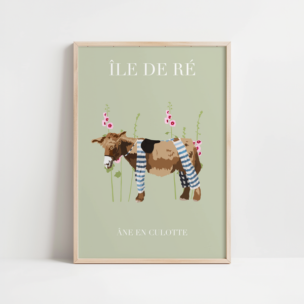 ANE EN CULOTTE ILE DE RE
